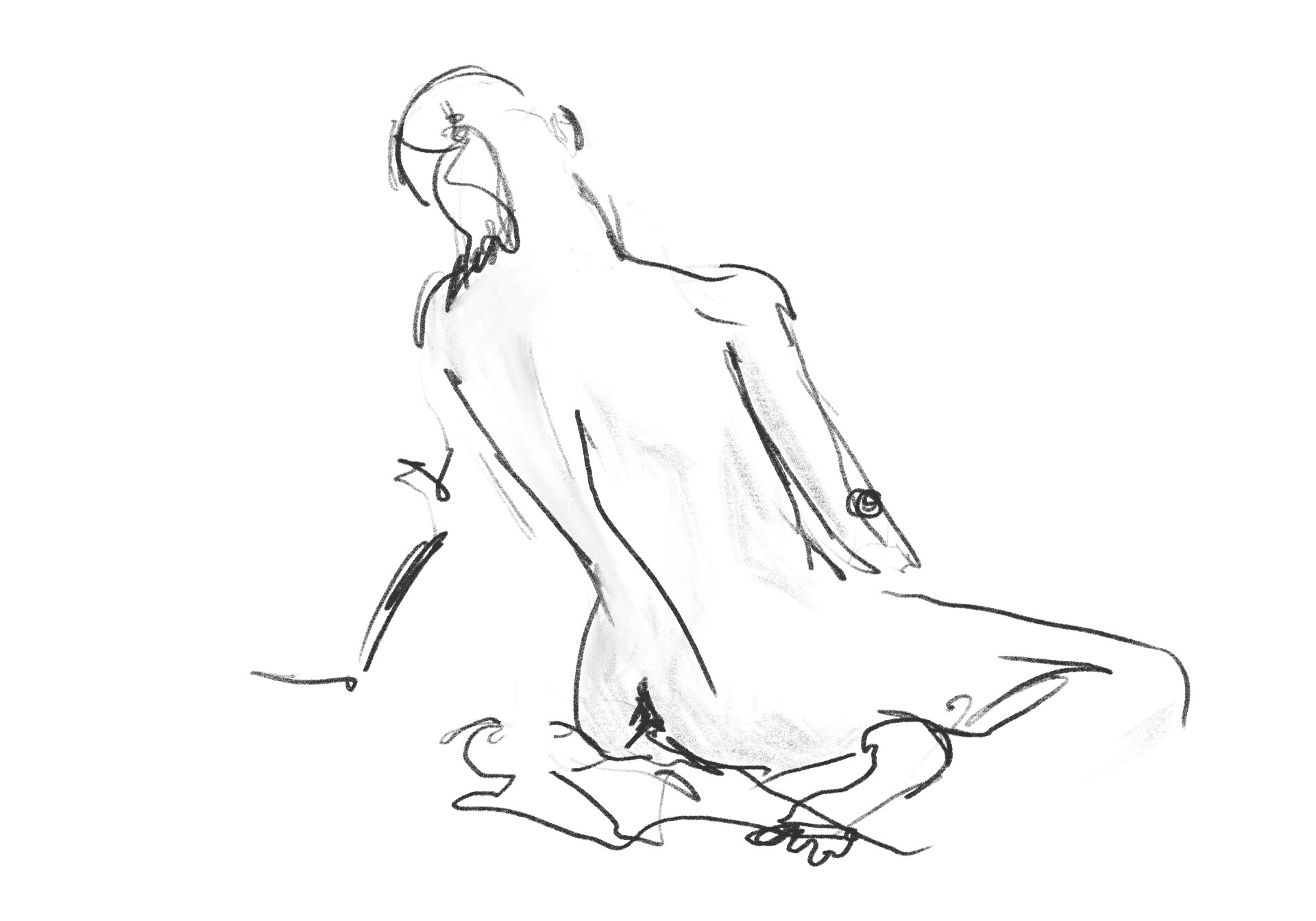 Sandbox study