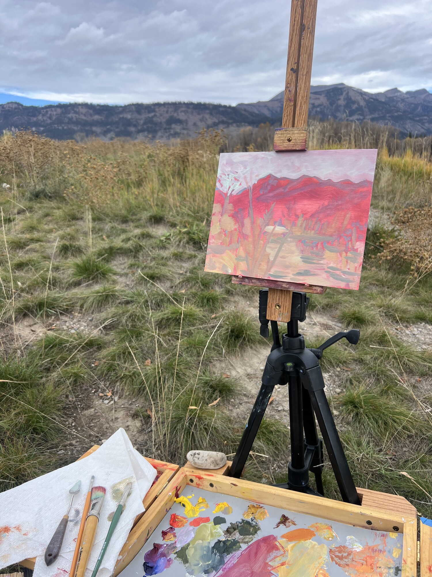 Sandbox study