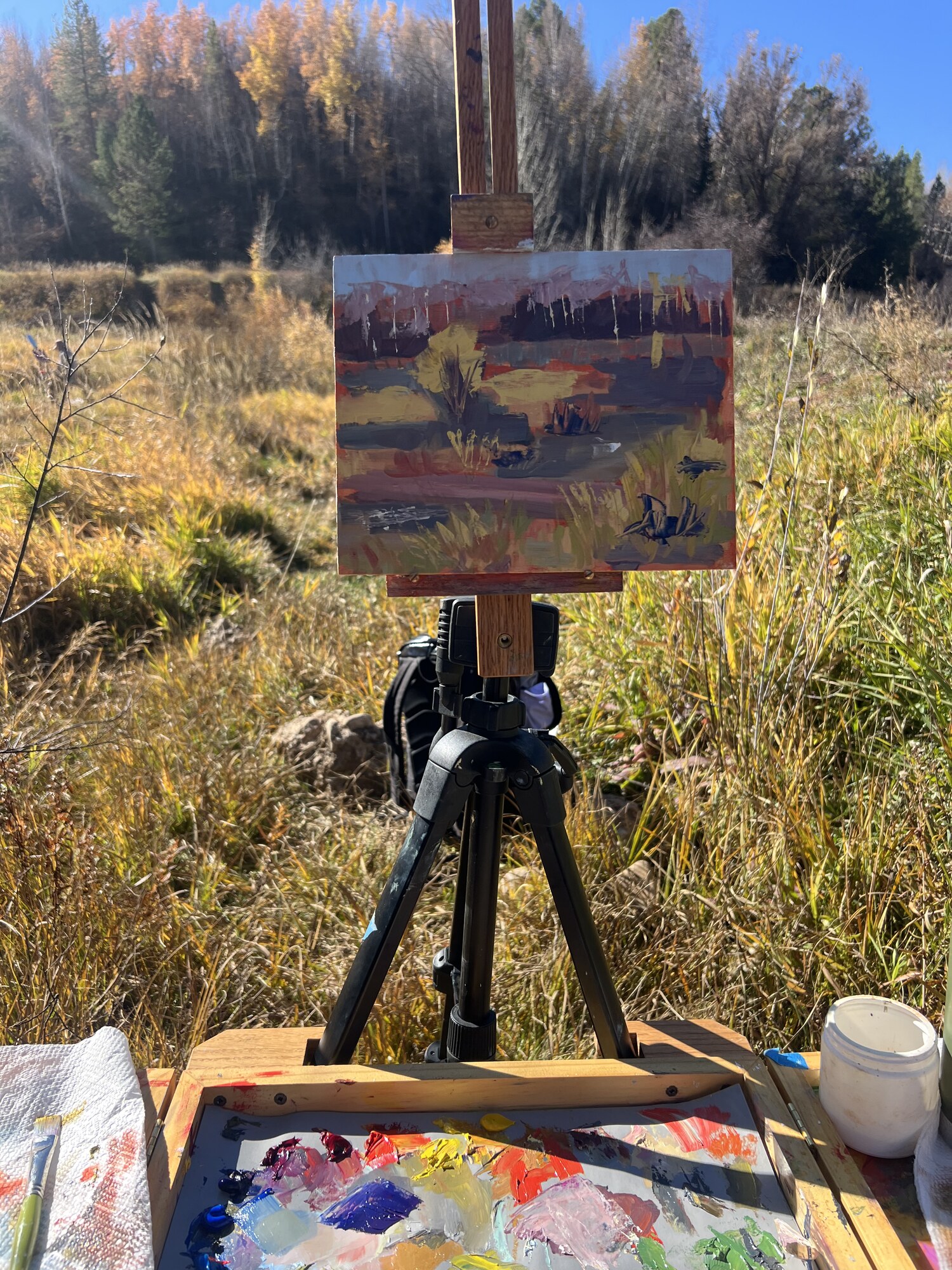 Sandbox study