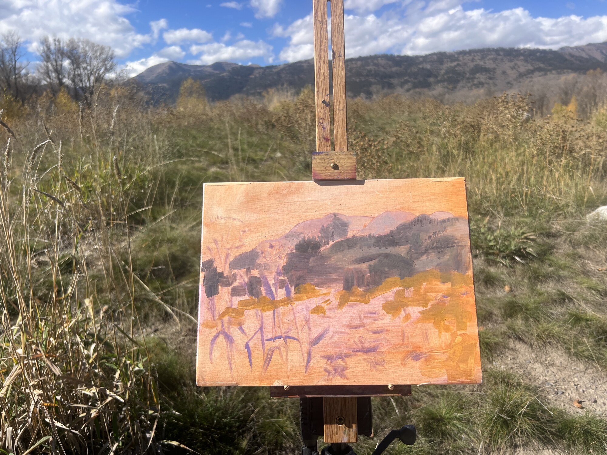 Sandbox study
